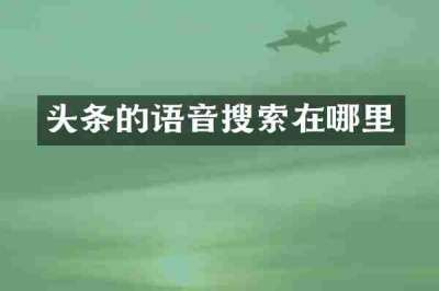 头条的语音搜索在哪里