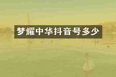 梦耀中华抖音号多少