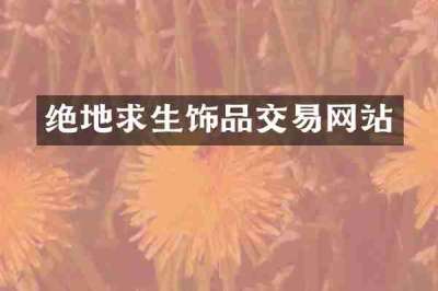 绝地求生饰品交易网站