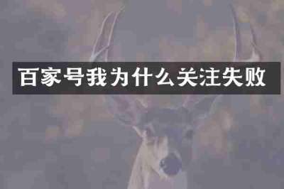 百家号我为什么关注失败