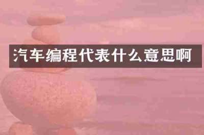 汽车编程代表什么意思啊