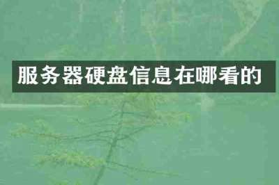 服务器硬盘信息在哪看的