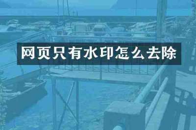 网页只有水印怎么去除