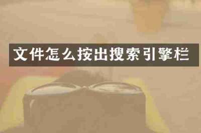 文件怎么按出搜索引擎栏