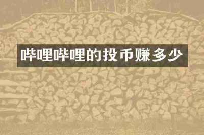 哔哩哔哩的投币赚多少