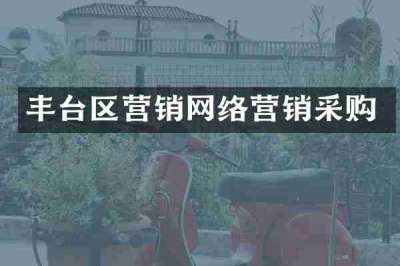 丰台区营销网络营销采购