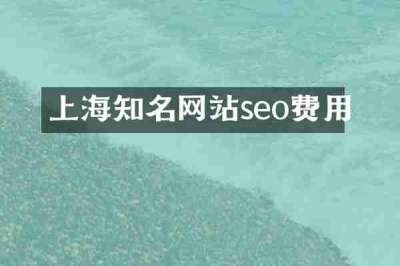 上海知名网站seo费用