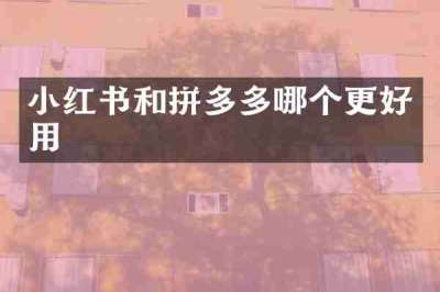 小红书和拼多多哪个更好用
