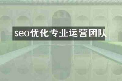 seo优化专业运营团队