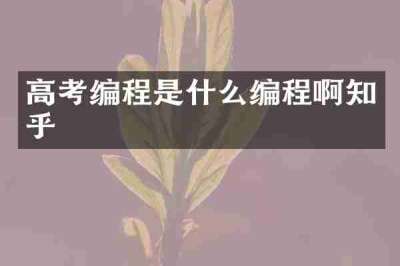 高考编程是什么编程啊知乎