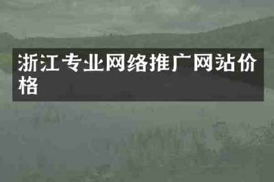 浙江专业网络推广网站价格