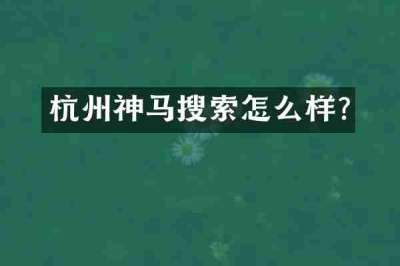 杭州神马搜索怎么样?