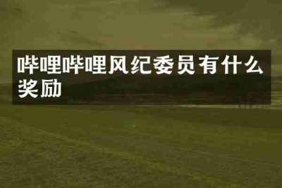 哔哩哔哩风纪委员有什么奖励