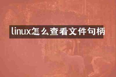linux怎么查看文件句柄