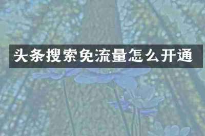 头条搜索免流量怎么开通