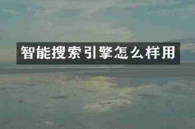 智能搜索引擎怎么样用