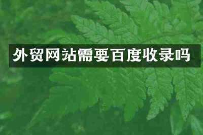 外贸网站需要百度收录吗