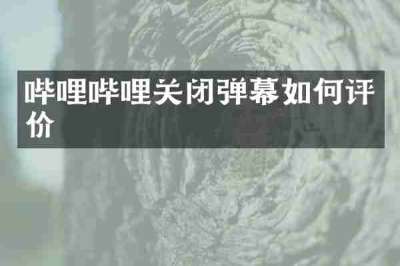 哔哩哔哩关闭弹幕如何评价