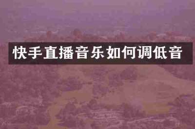 快手直播音乐如何调低音