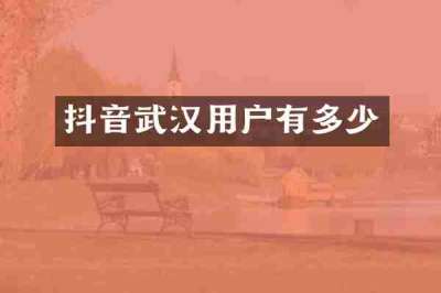 抖音武汉用户有多少