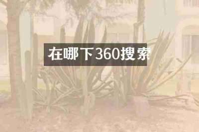 在哪下360搜索