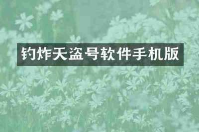 钓炸天盗号软件手机版