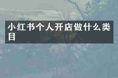 小红书个人开店做什么类目