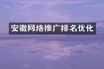 安徽网络推广排名优化