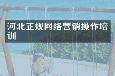 河北正规网络营销操作培训