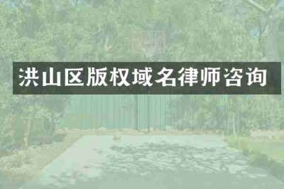 洪山区版权域名律师咨询