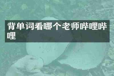 背单词看哪个老师哔哩哔哩