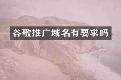 谷歌推广域名有要求吗