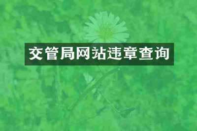 交管局网站违章查询