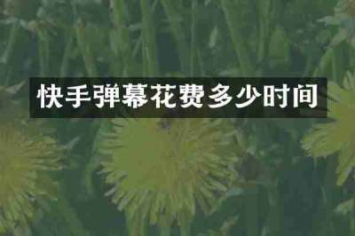 快手弹幕花费多少时间