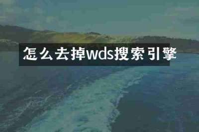 怎么去掉wds搜索引擎