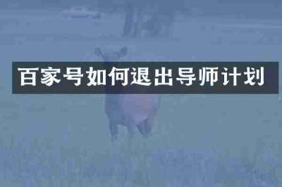 百家号如何退出导师计划