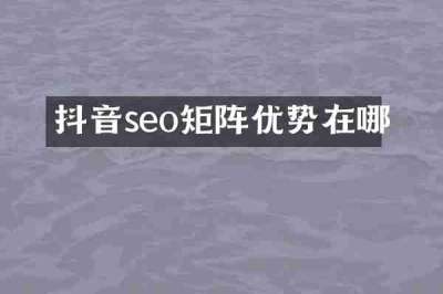 抖音seo矩阵优势在哪