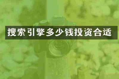 搜索引擎多少钱投资合适