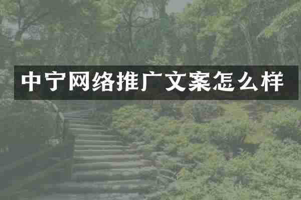中宁网络推广文案怎么样