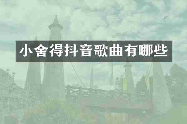 小舍得抖音歌曲有哪些