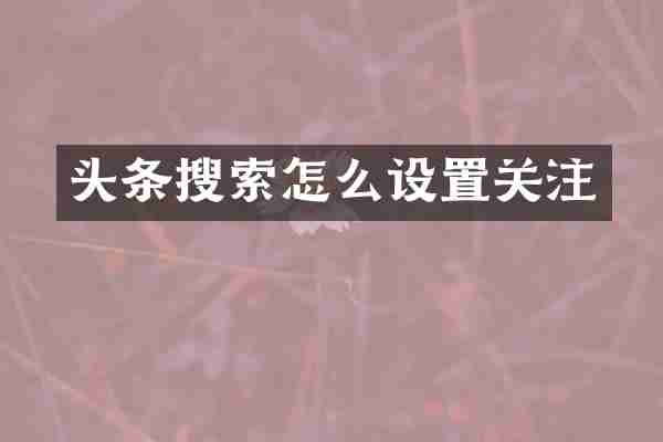头条搜索怎么设置关注