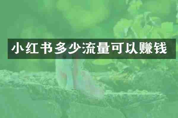小红书多少流量可以赚钱