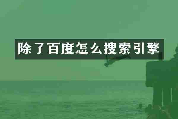 除了百度怎么搜索引擎