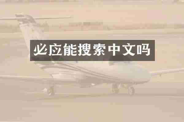 必应能搜索中文吗