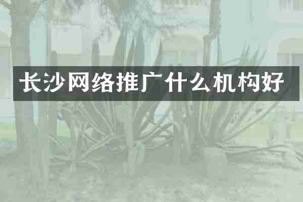 长沙网络推广什么机构好