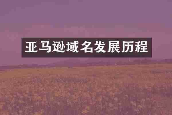 亚马逊域名发展历程