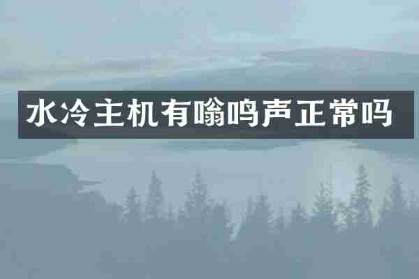 水冷主机有嗡鸣声正常吗
