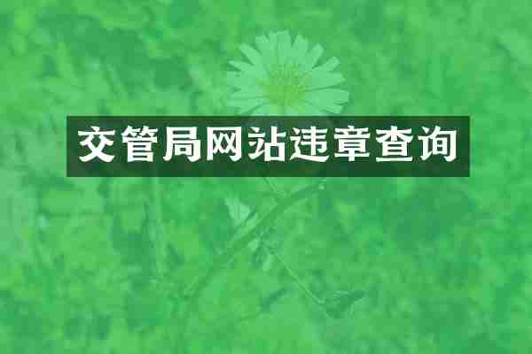 交管局网站违章查询