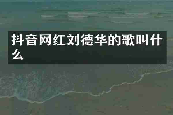 抖音网红刘德华的歌叫什么
