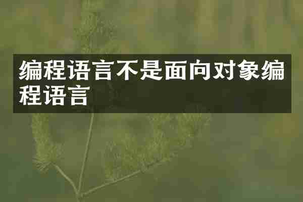编程语言不是面向对象编程语言